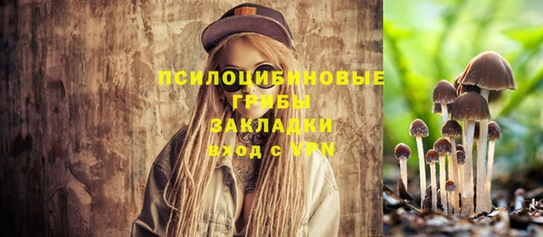 герыч Иннополис