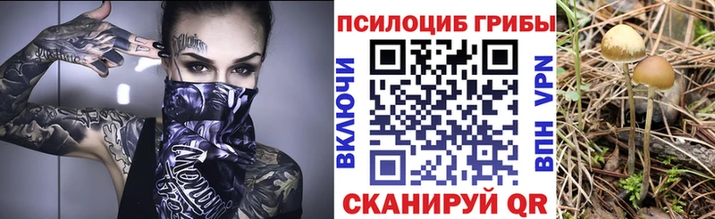 Галлюциногенные грибы мицелий Красноармейск