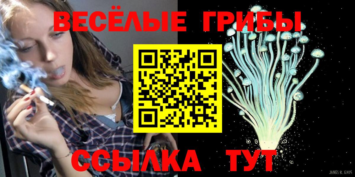 Галлюциногенные грибы Cubensis  Вход с VPN  Псилоцибиновые грибы Psilocybine cubensis  Красноармейск 
