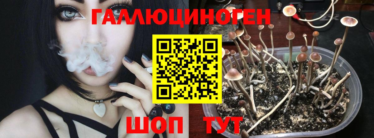 Псилоцибиновые грибы Magic Shrooms Красноармейск